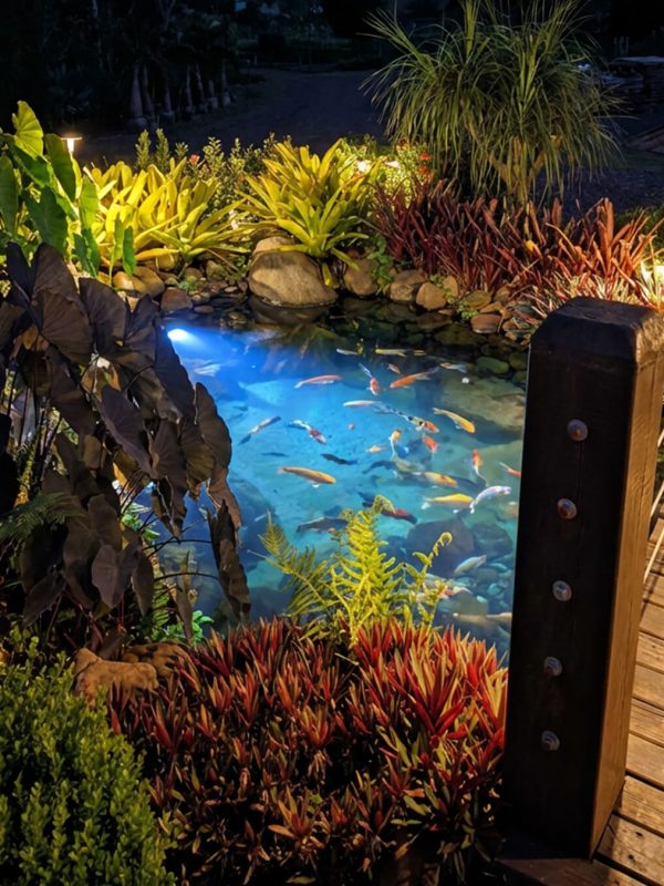 eng_banner_produtos_OzoneFish_4